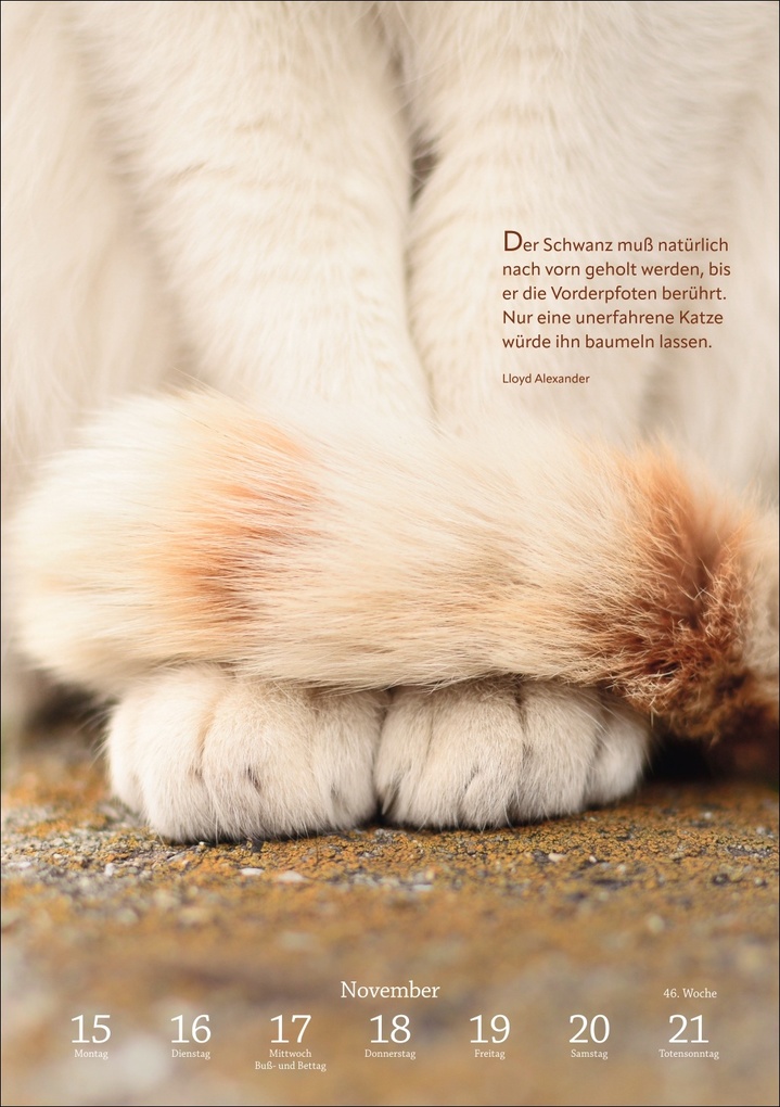 Weitere Ansicht: Literaturkalender Katzen Wochen-Kulturkalender 2027