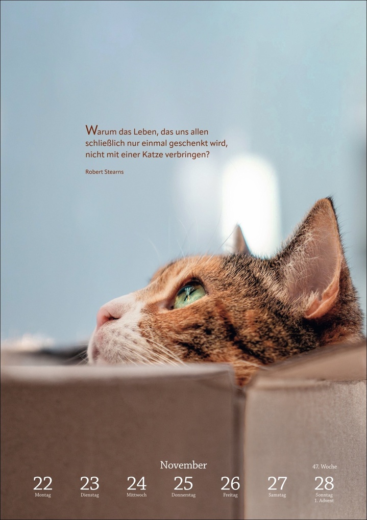 Weitere Ansicht: Literaturkalender Katzen Wochen-Kulturkalender 2027