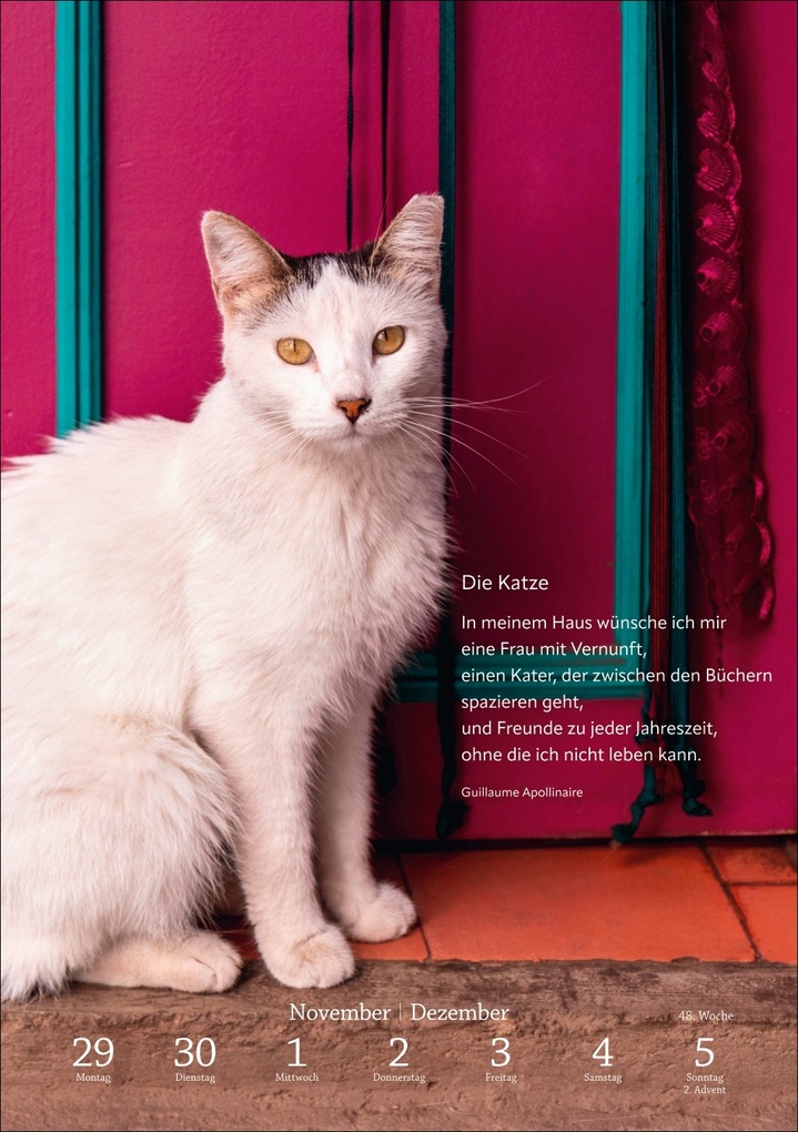 Weitere Ansicht: Literaturkalender Katzen Wochen-Kulturkalender 2027