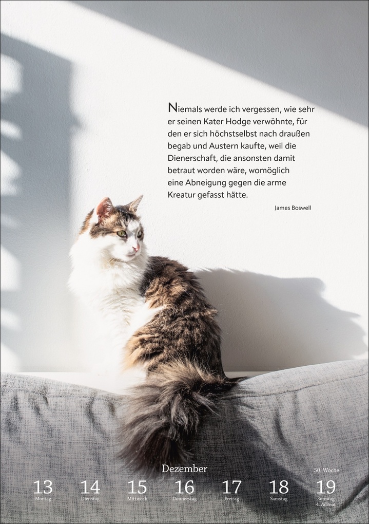 Weitere Ansicht: Literaturkalender Katzen Wochen-Kulturkalender 2027