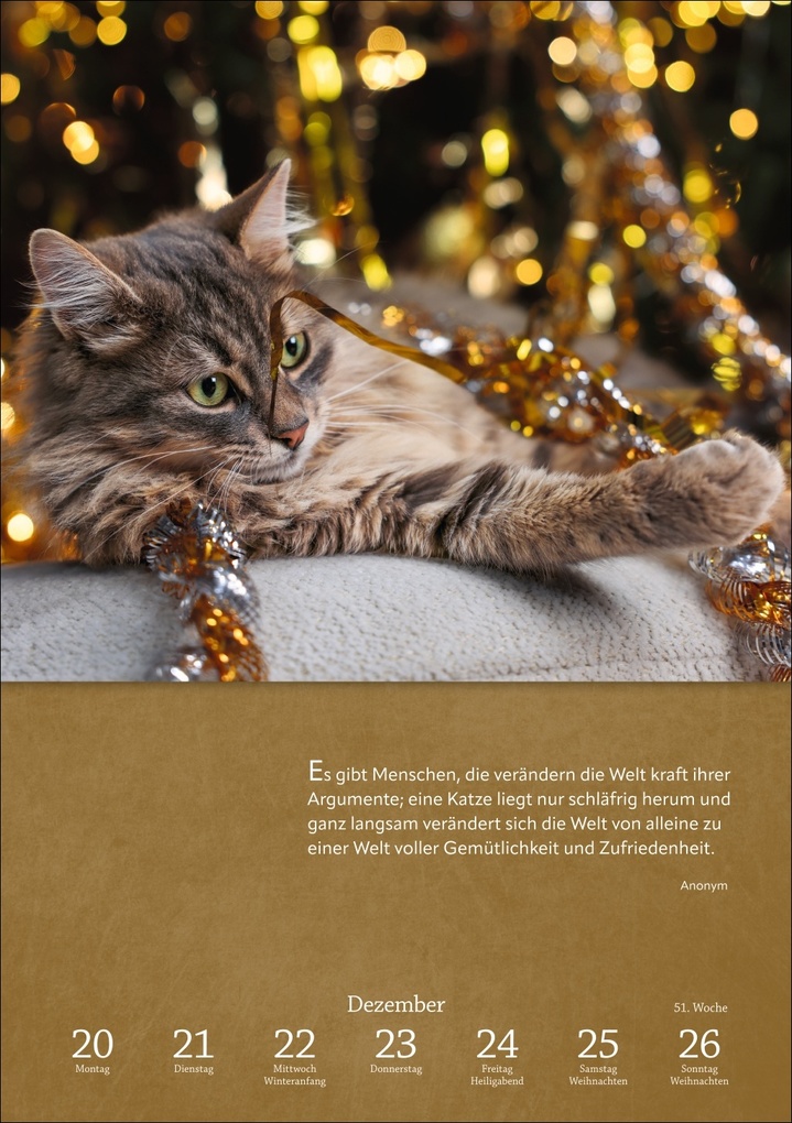 Weitere Ansicht: Literaturkalender Katzen Wochen-Kulturkalender 2027