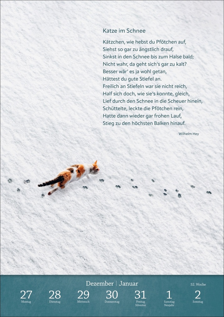 Weitere Ansicht: Literaturkalender Katzen Wochen-Kulturkalender 2027