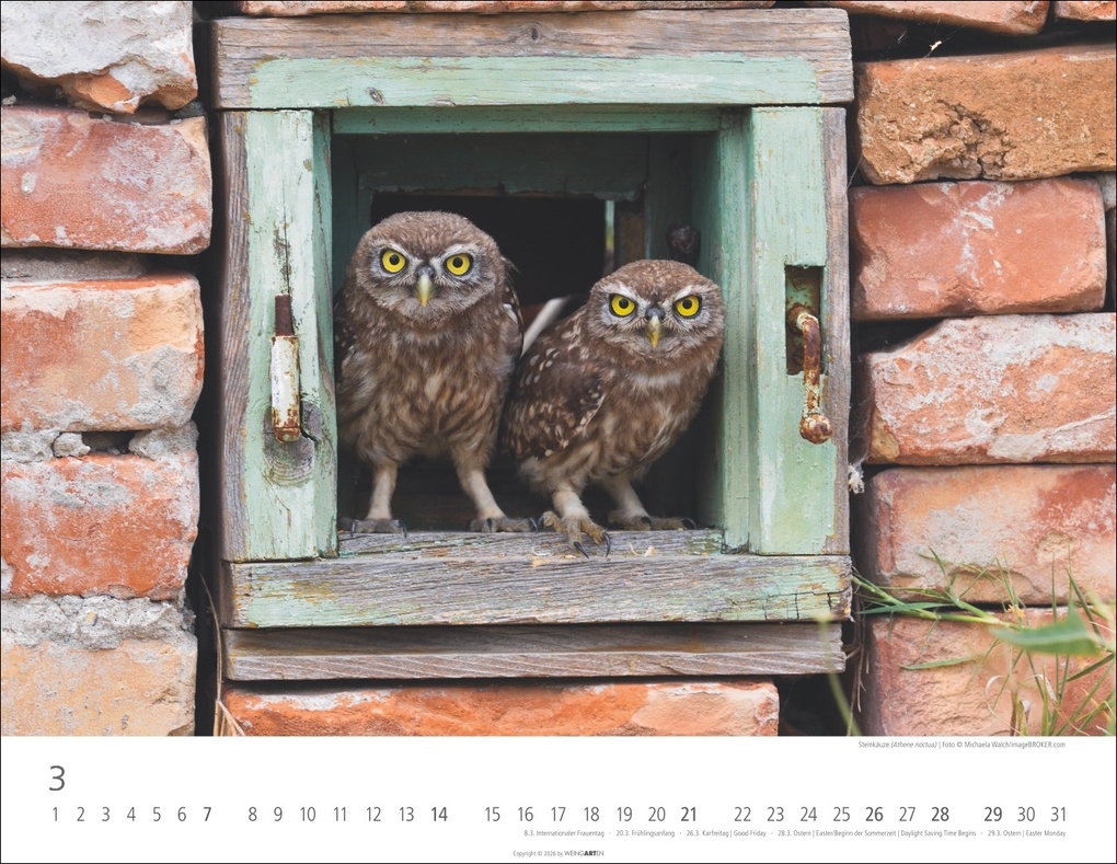 Weitere Ansicht: Eulen Kalender 2027