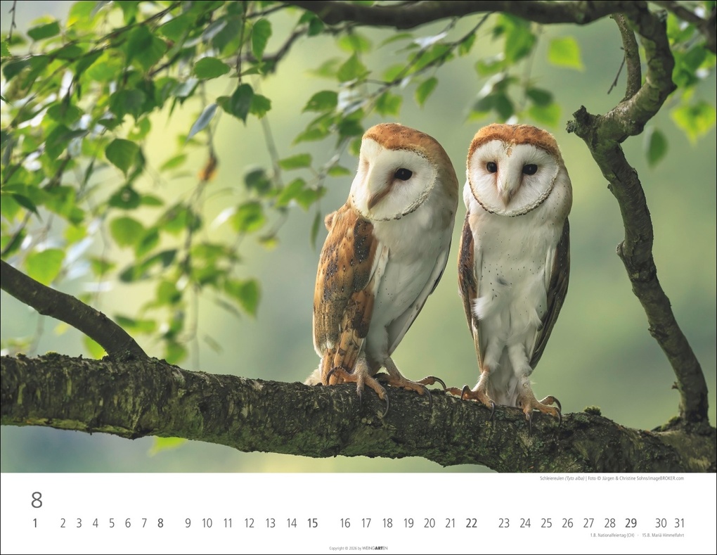 Weitere Ansicht: Eulen Kalender 2027