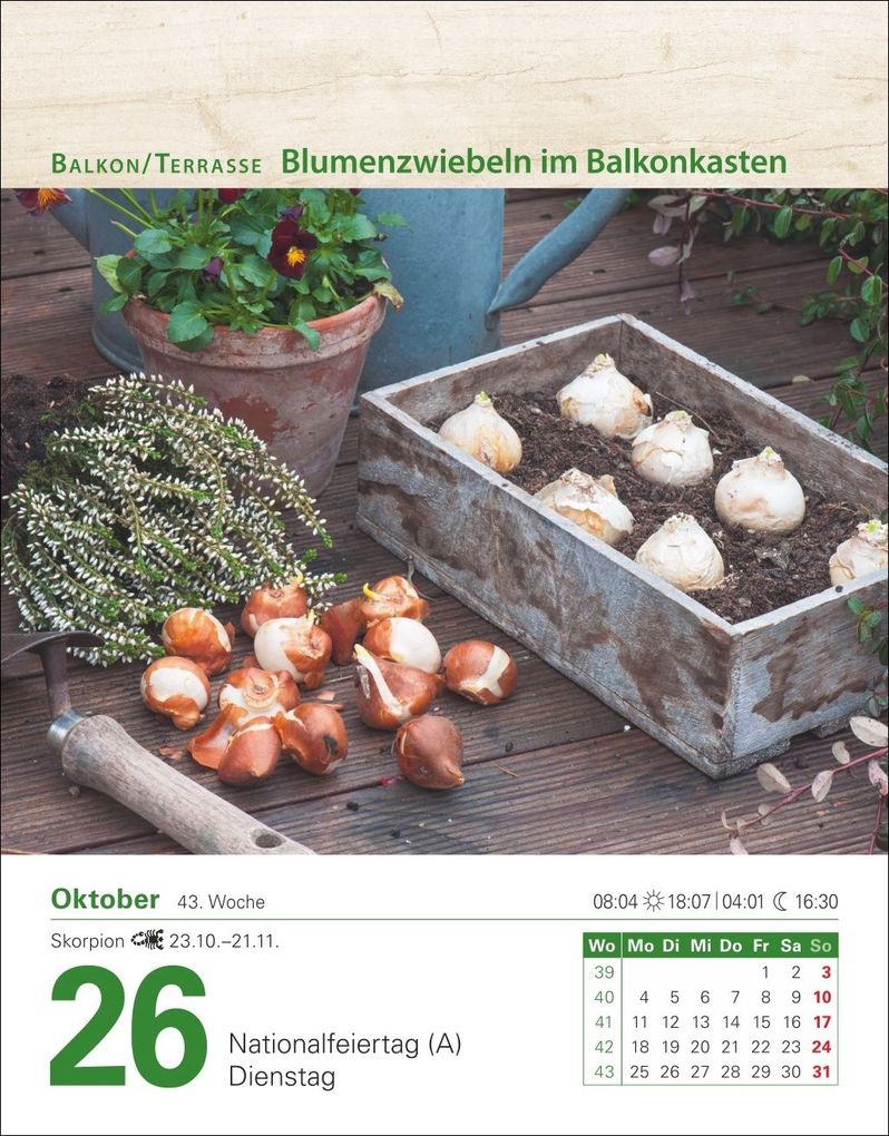 Weitere Ansicht: Mein Garten Tagesabreißkalender 2027 - Praktische Tipps für 2027 | Ulrich Thimm