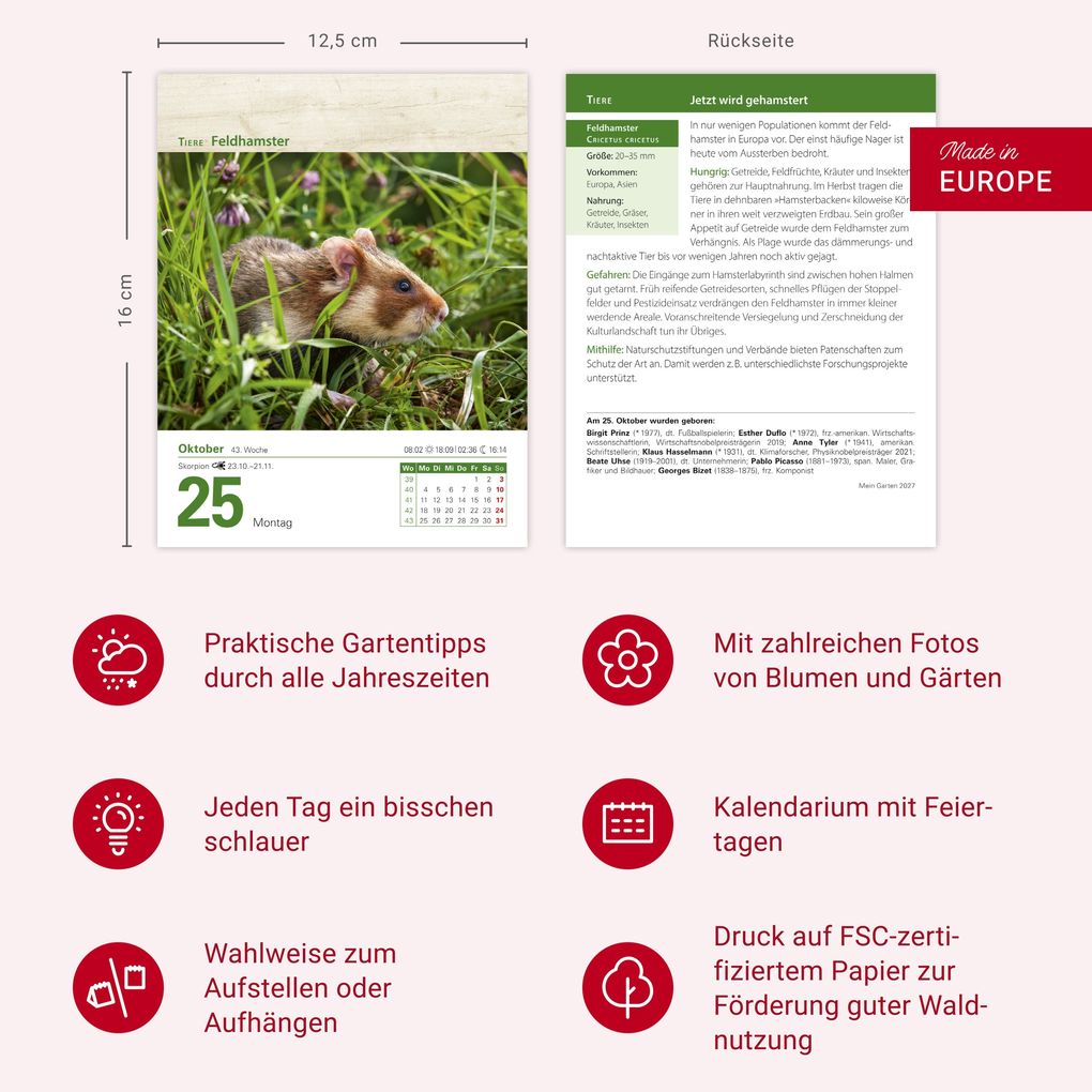 Weitere Ansicht: Mein Garten Tagesabreißkalender 2027 - Praktische Tipps für 2027 | Ulrich Thimm