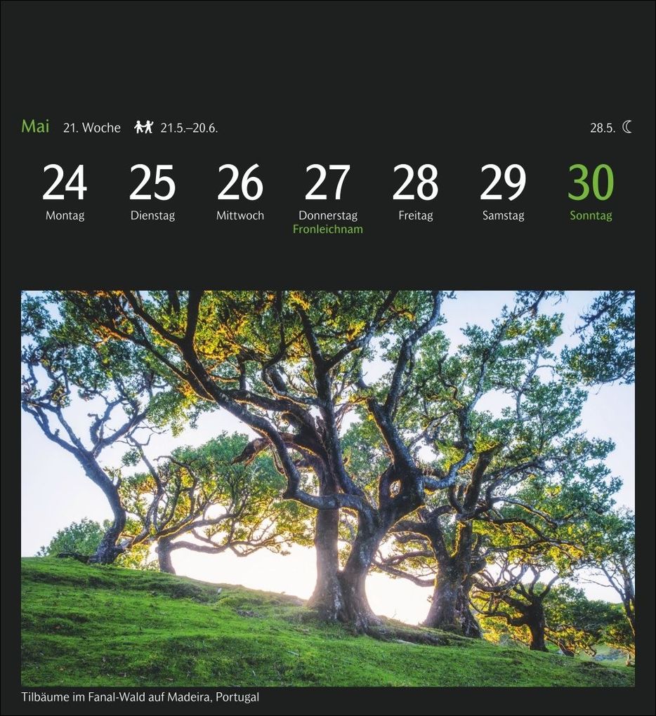 Weitere Ansicht: GEO Magische Natur Postkartenkalender 2027 - Wochenkalender mit 53 Postkarten