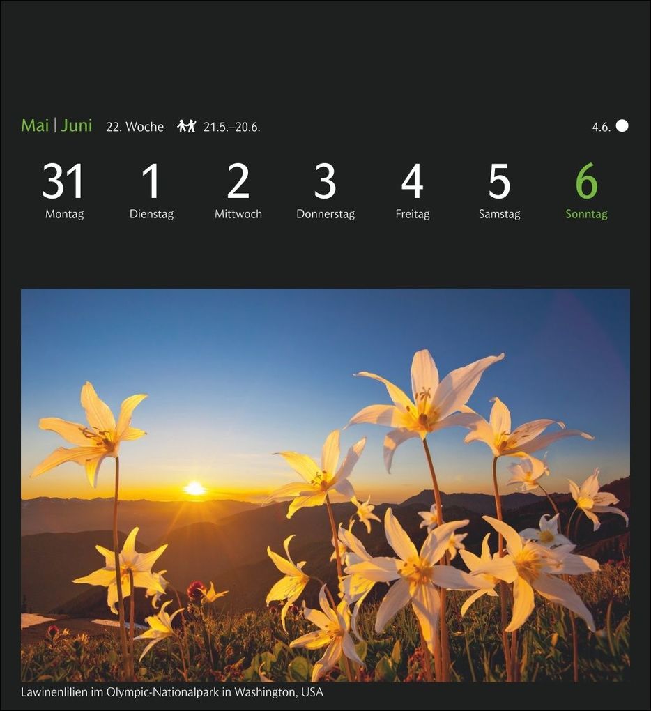 Weitere Ansicht: GEO Magische Natur Postkartenkalender 2027 - Wochenkalender mit 53 Postkarten
