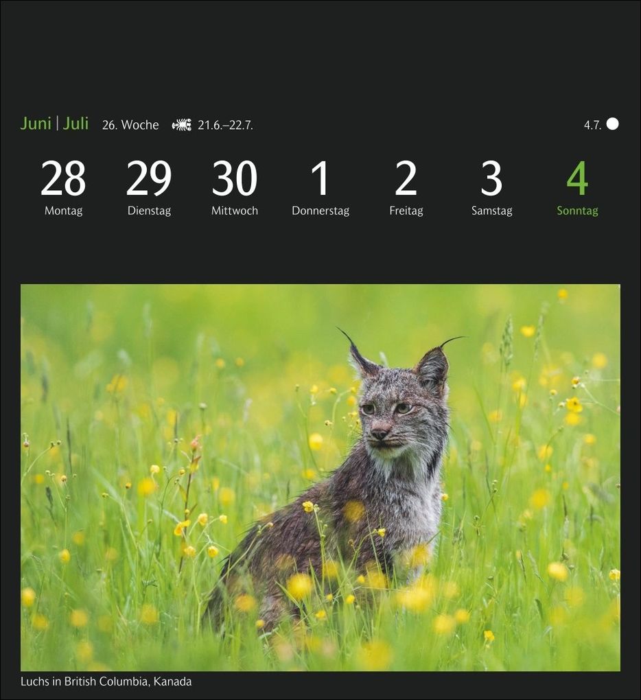 Weitere Ansicht: GEO Magische Natur Postkartenkalender 2027 - Wochenkalender mit 53 Postkarten