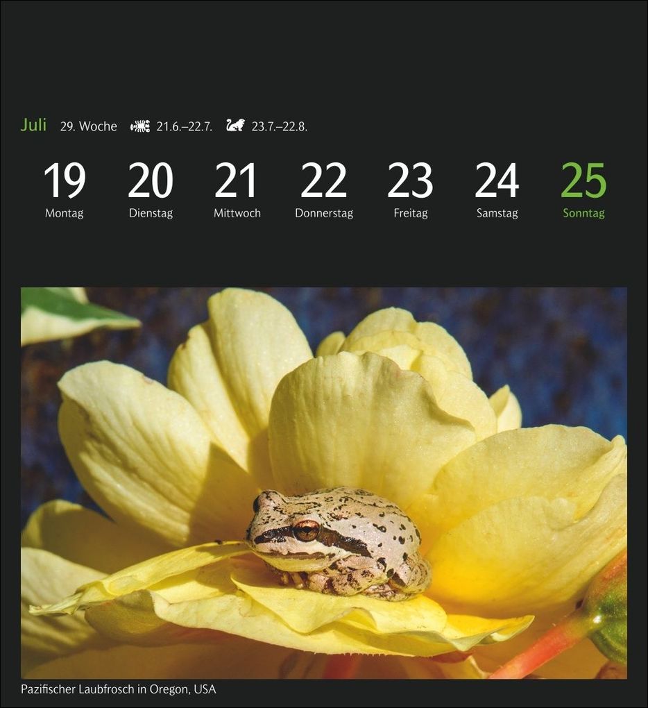 Weitere Ansicht: GEO Magische Natur Postkartenkalender 2027 - Wochenkalender mit 53 Postkarten