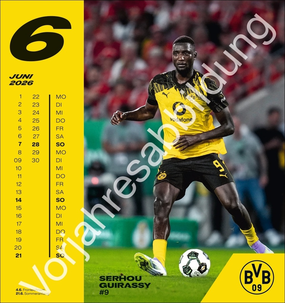 Weitere Ansicht: BVB Postkartenkalender 2027