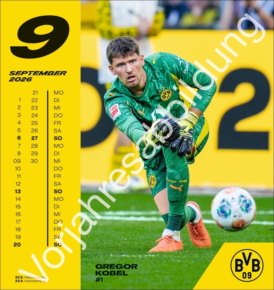 Weitere Ansicht: BVB Postkartenkalender 2027