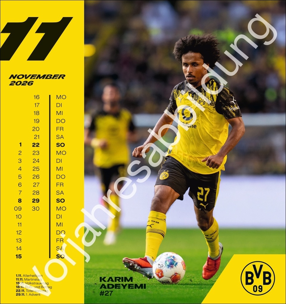 Weitere Ansicht: BVB Postkartenkalender 2027