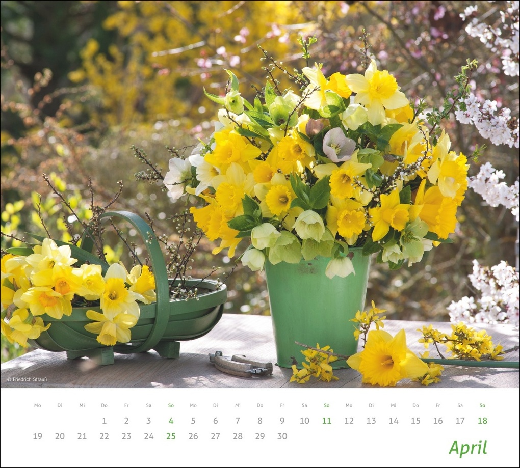 Weitere Ansicht: times&more Blumen Bildkalender 2027