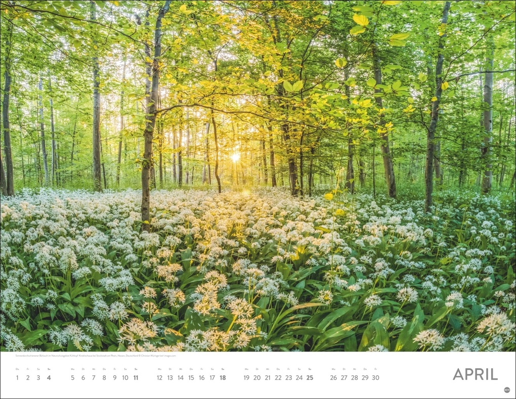 Weitere Ansicht: Sonnenzauber Posterkalender 2027