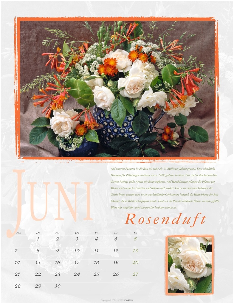 Weitere Ansicht: Duftkalender 2027