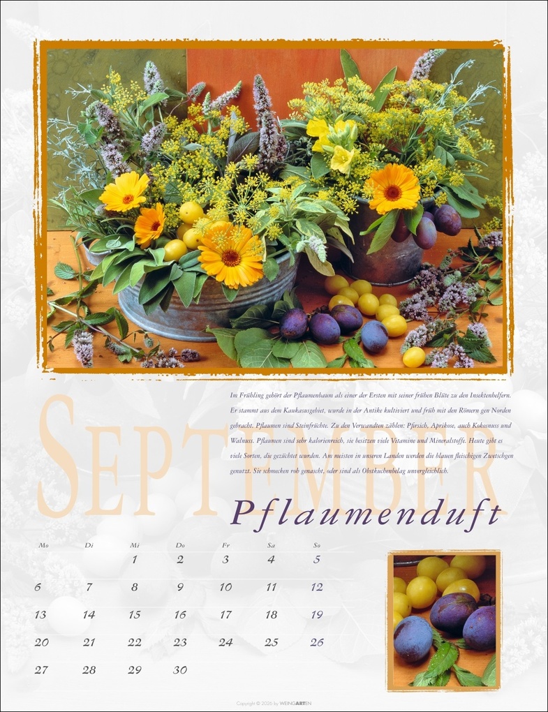 Weitere Ansicht: Duftkalender 2027