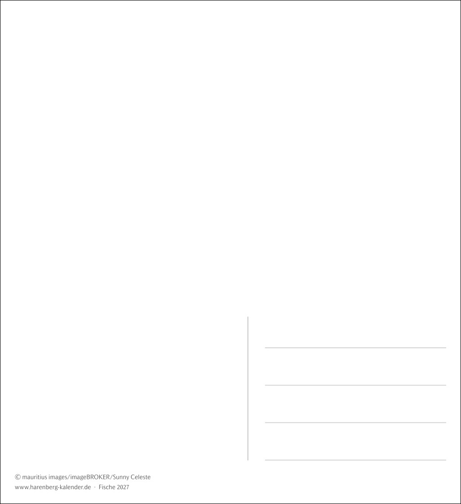 Weitere Ansicht: Fische Postkartenkalender 2027 - Postkartenkalender mit 53 historischen Zeichnungen