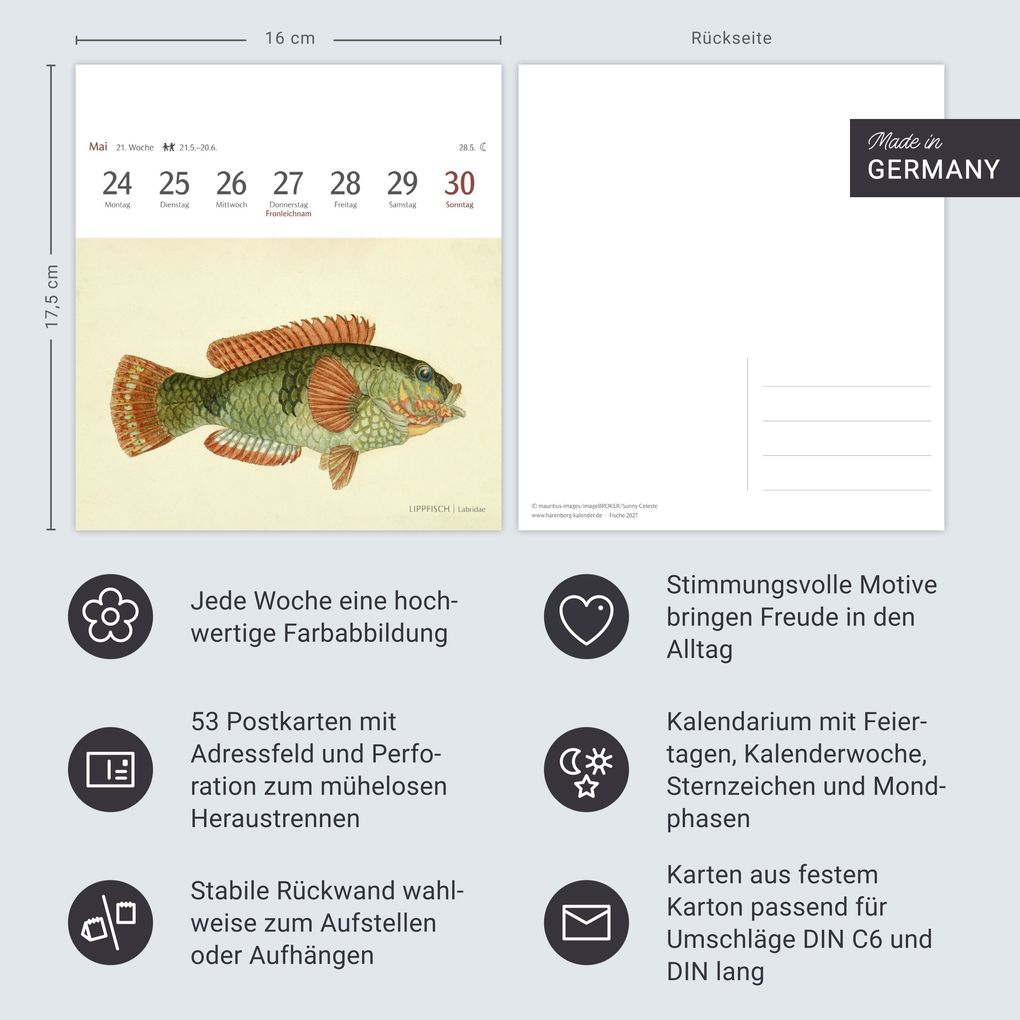 Weitere Ansicht: Fische Postkartenkalender 2027 - Postkartenkalender mit 53 historischen Zeichnungen