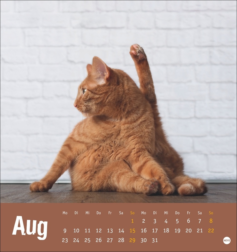 Weitere Ansicht: Tierisch entspannte Katzen Postkartenkalender 2027