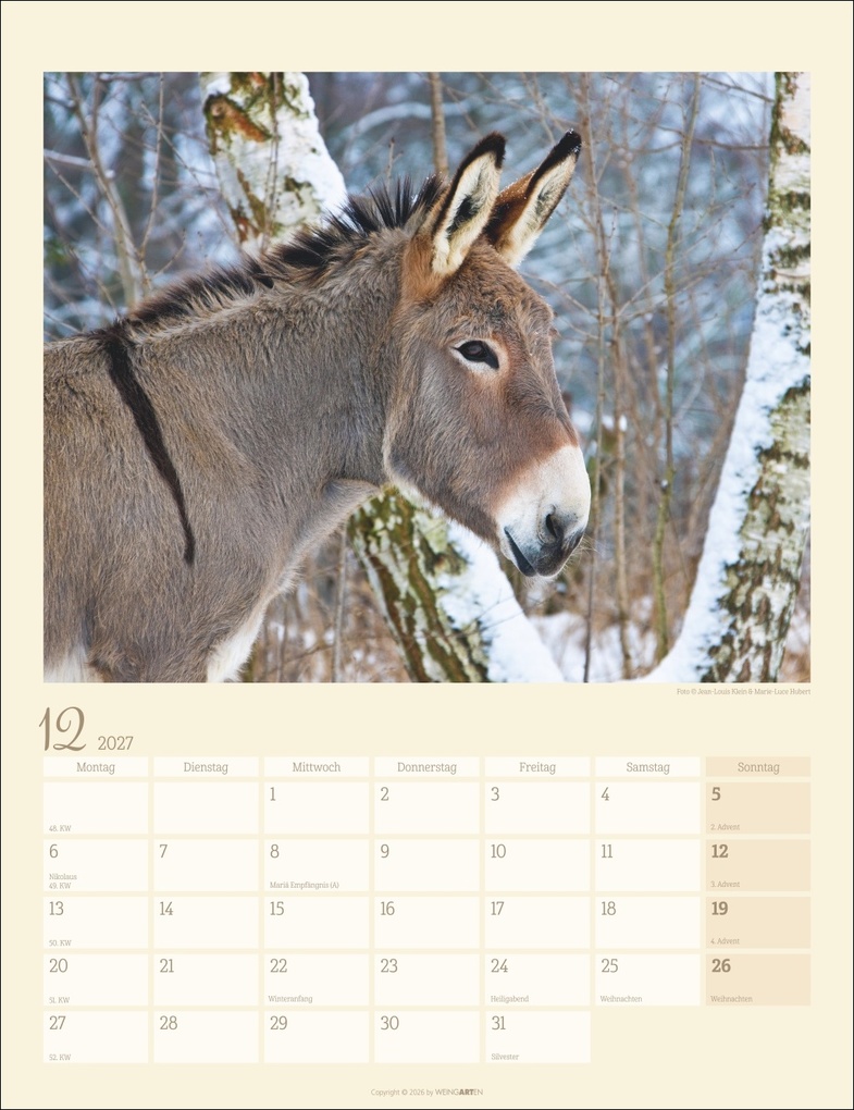 Weitere Ansicht: Esel Kalender 2027