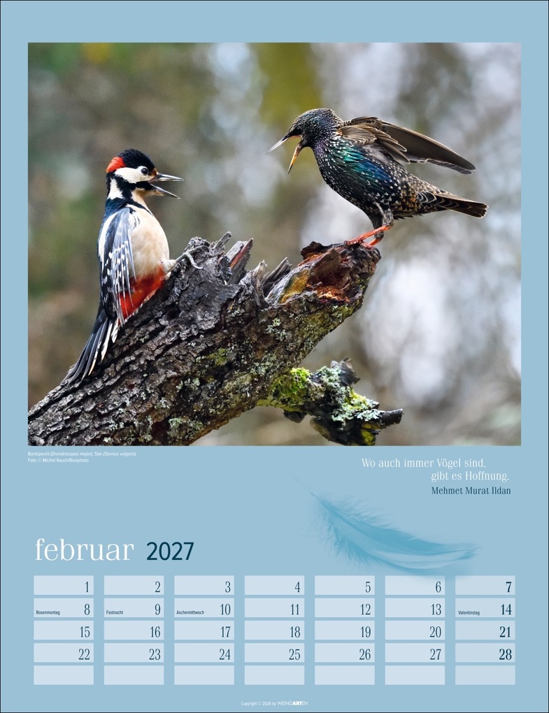 Weitere Ansicht: Heimische Vögel Kalender 2027