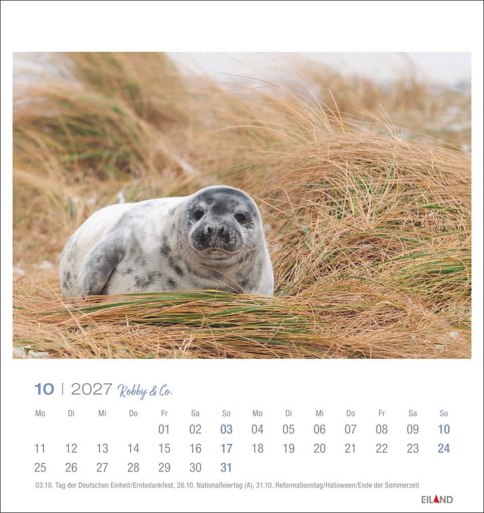 Weitere Ansicht: Robby & Co. Postkartenkalender 2027