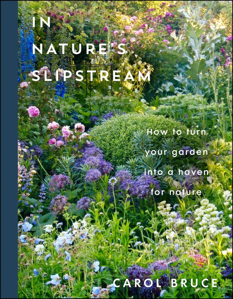 Produktbild: In Nature's Slipstream | Carol Bruce
