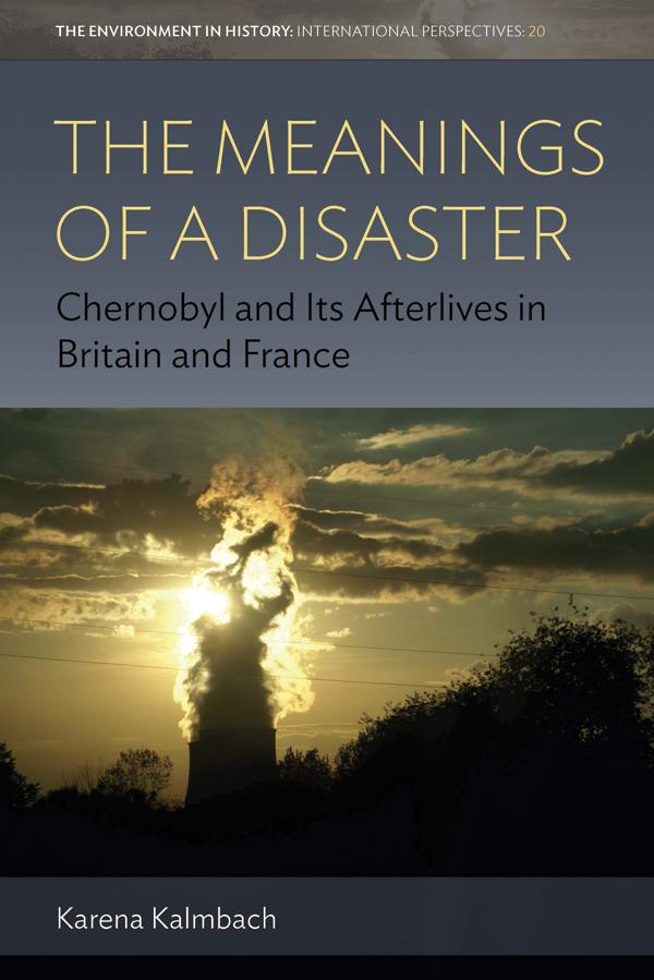 Produktbild: The Meanings of a Disaster | Karena Kalmbach