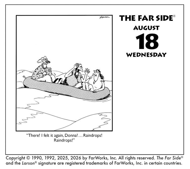 Weitere Ansicht: The Far Side 2027 | McMeel Andrews, Andrews McMeel Publisher