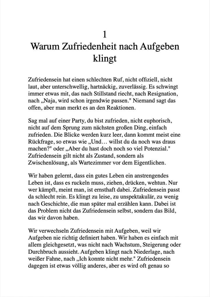 Weitere Ansicht: DER HEIE SCHEI VOM ZUFRIEDENSEIN | Julia Weber
