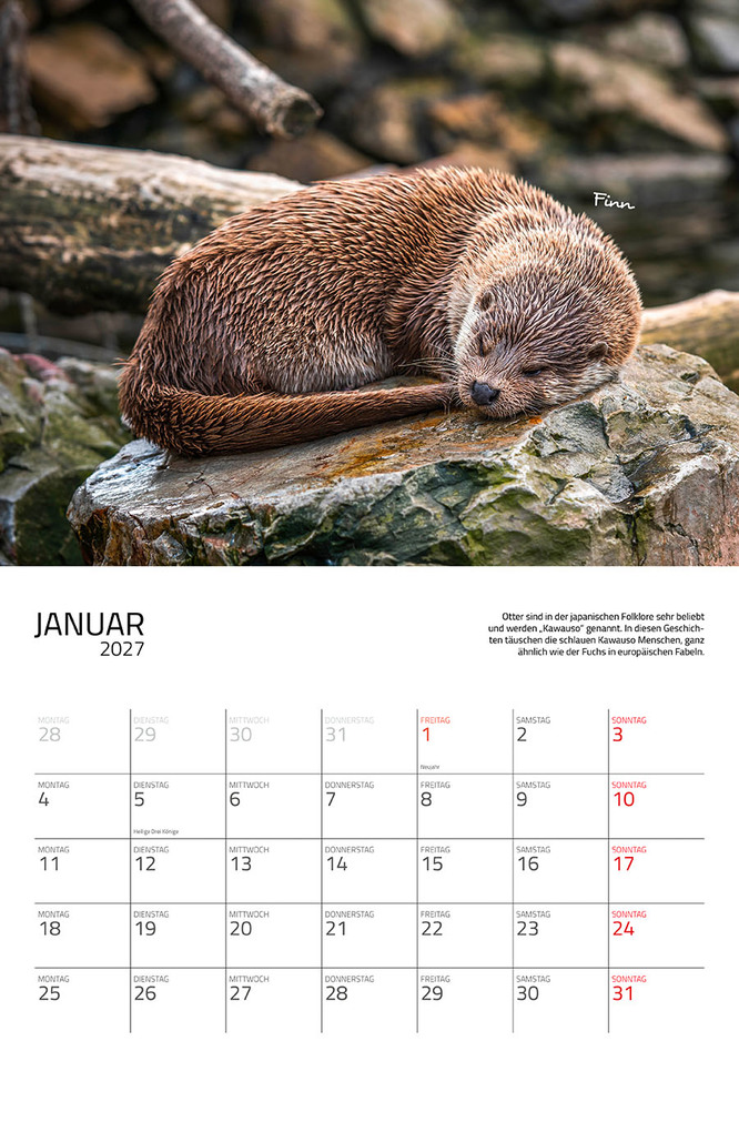 Weitere Ansicht: Otter Kalender 2027 Wandkalender Eintragkalender