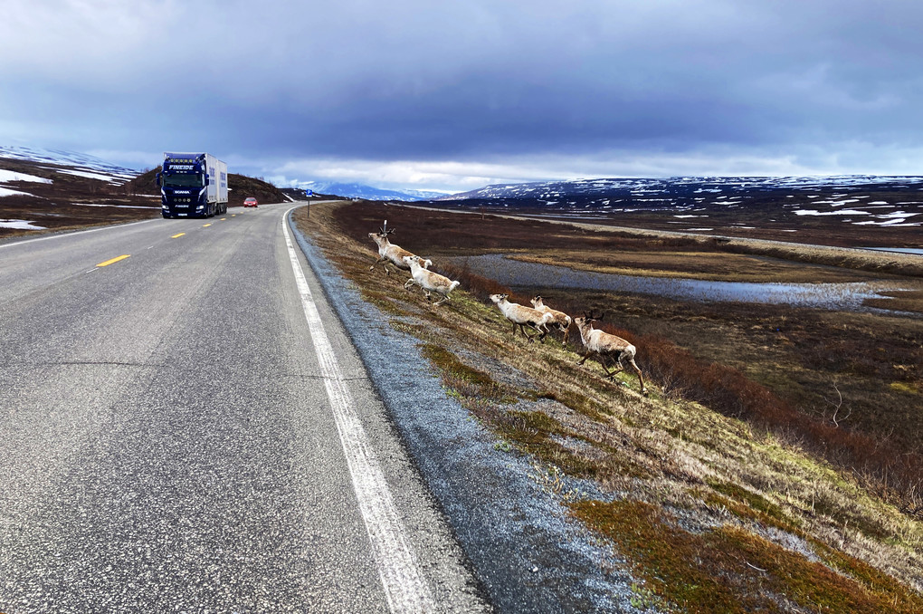 Weitere Ansicht: Abenteuer NORWEGEN | Guido Lange