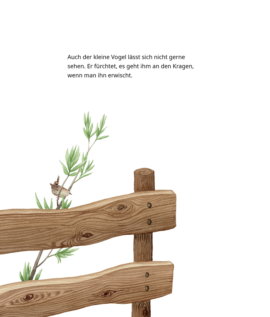 Weitere Ansicht: Der Zaunkönig | Brüder Grimm, Jacob Grimm