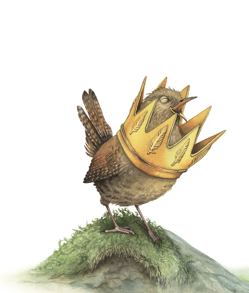 Weitere Ansicht: Der Zaunkönig | Brüder Grimm, Jacob Grimm