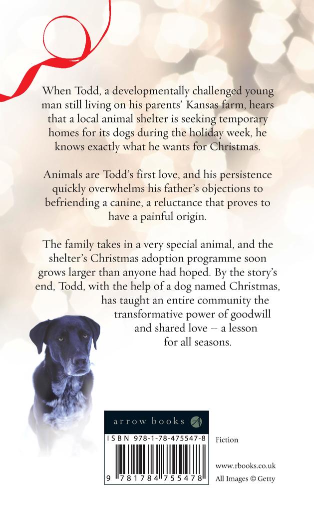 Weitere Ansicht: A Dog Named Christmas | Greg Kincaid