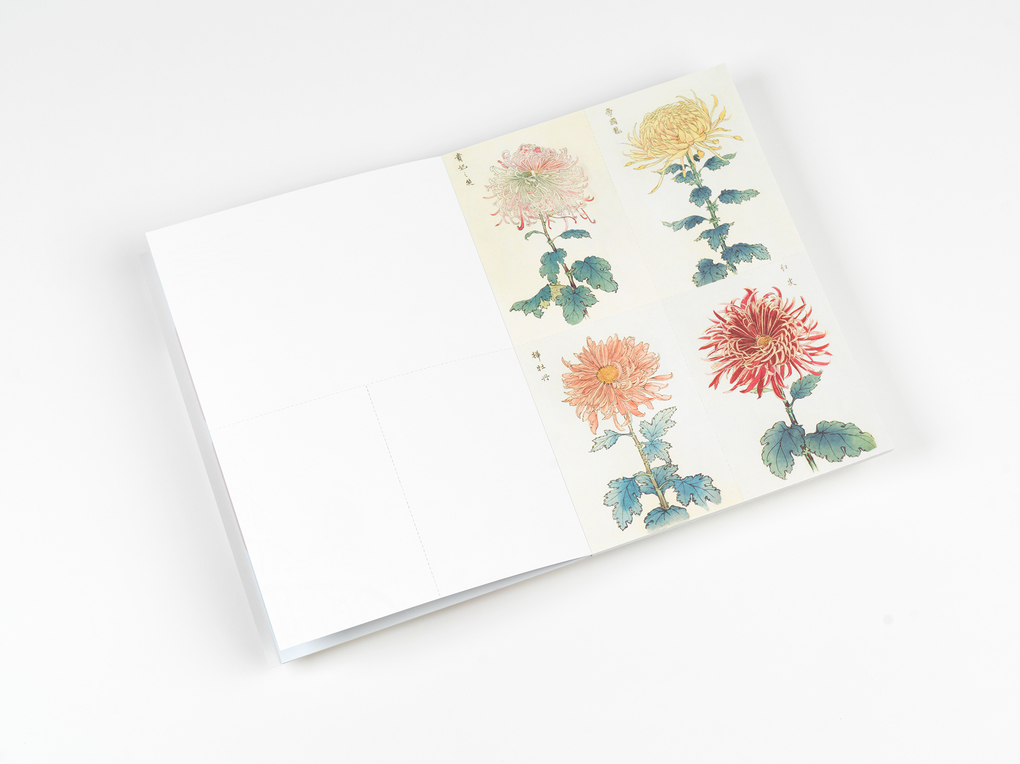 Weitere Ansicht: Japan | Pepin van Roojen