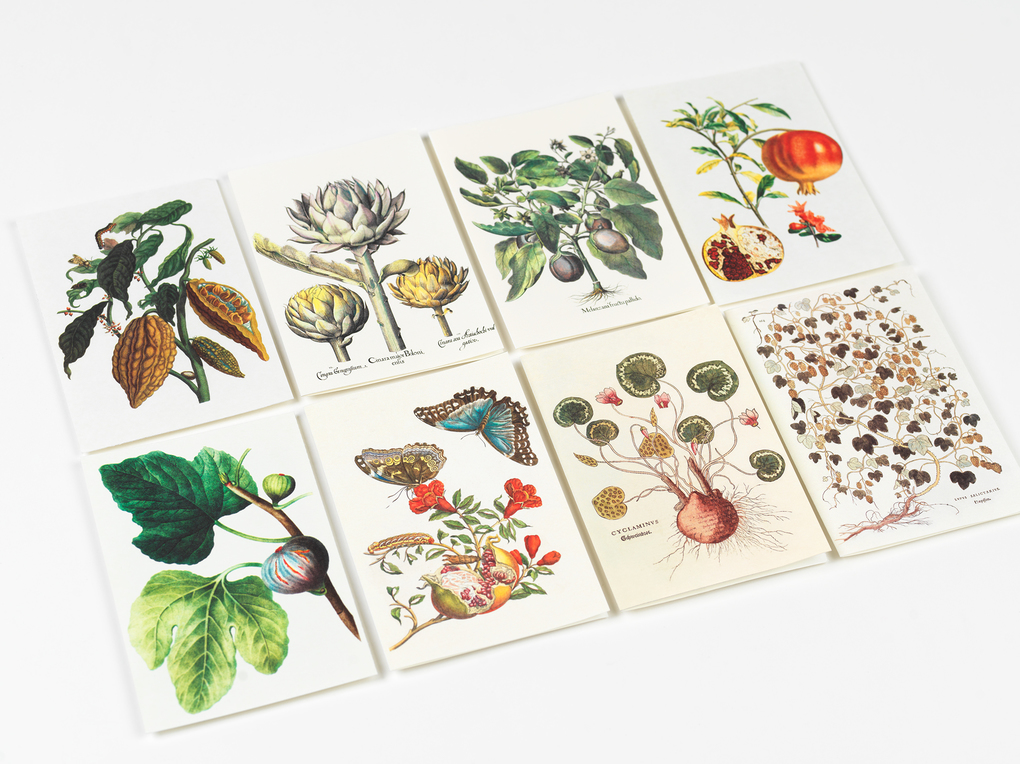 Weitere Ansicht: Natural History | Pepin van Roojen