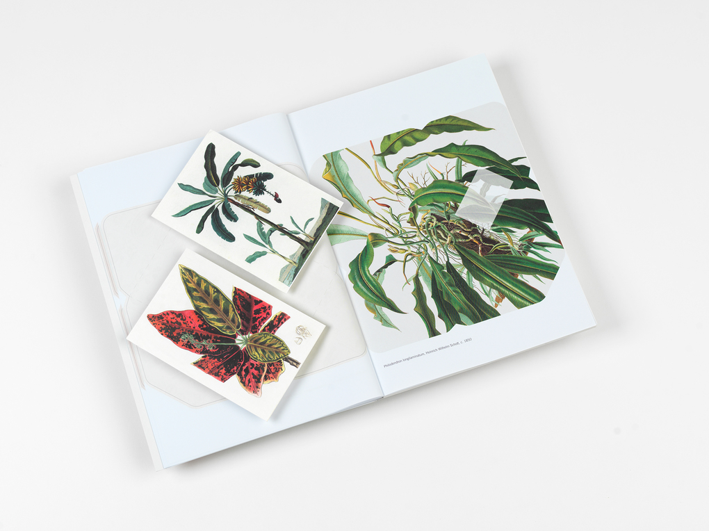 Weitere Ansicht: Natural History | Pepin van Roojen