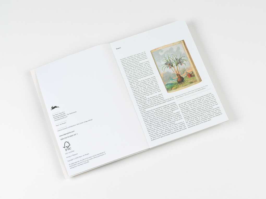 Weitere Ansicht: Flowers | Pepin van Roojen