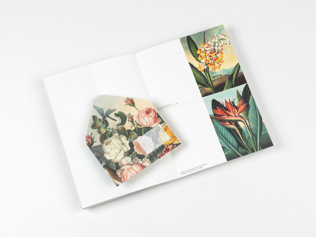 Weitere Ansicht: Flowers | Pepin van Roojen