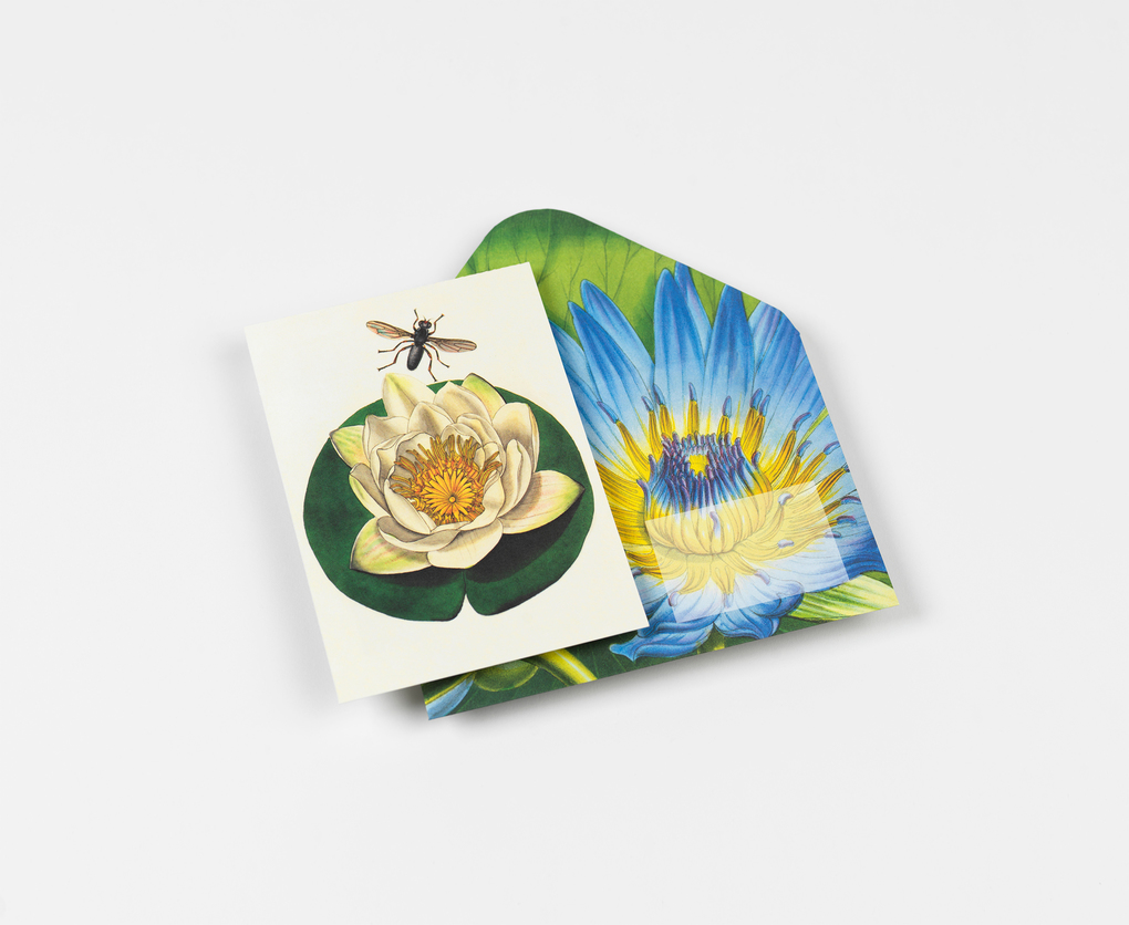 Weitere Ansicht: Flowers | Pepin van Roojen