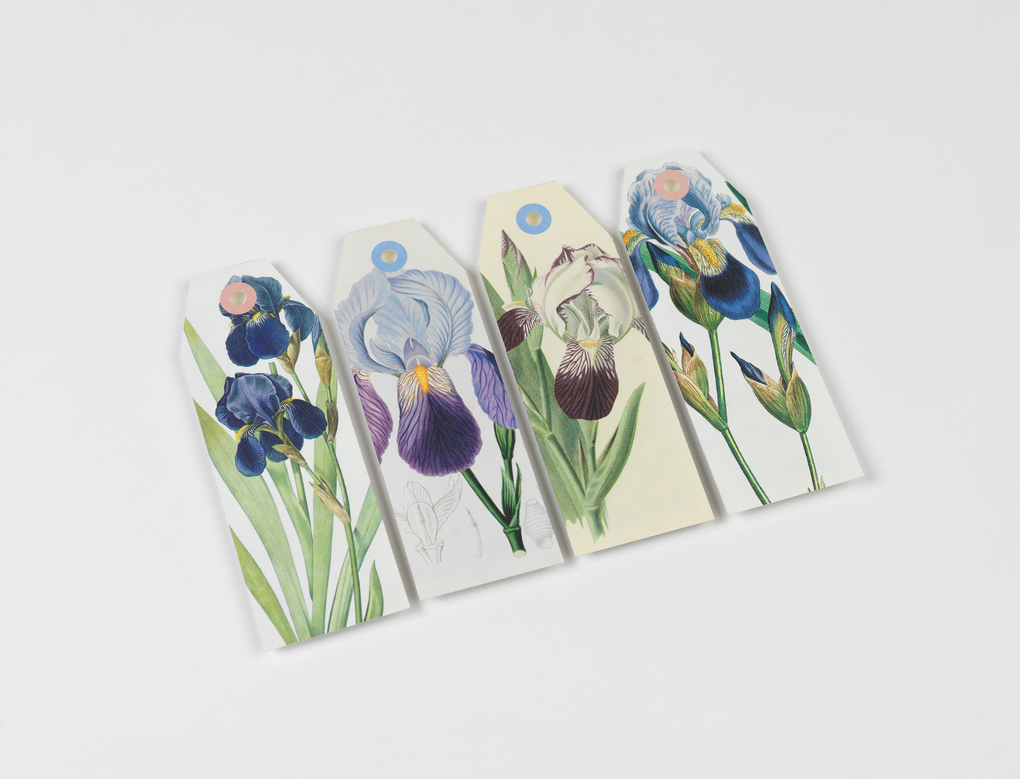 Weitere Ansicht: Flowers | Pepin van Roojen