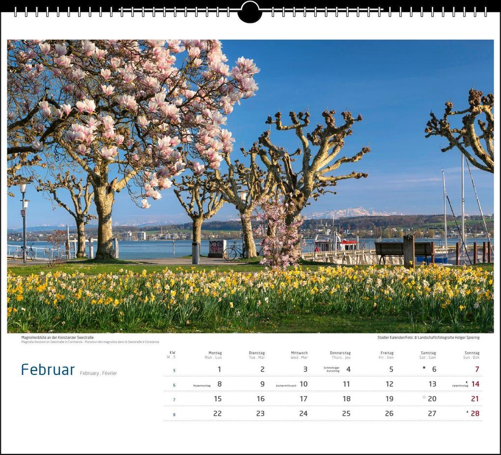 Weitere Ansicht: Malerischer Bodensee 2027