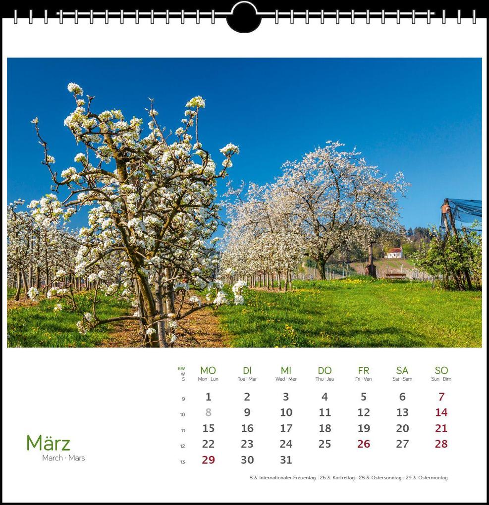 Weitere Ansicht: Schwarzwald 2027