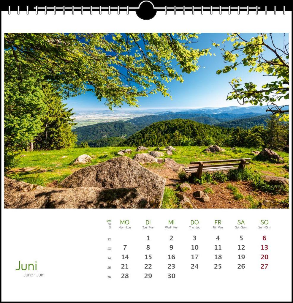 Weitere Ansicht: Schwarzwald 2027