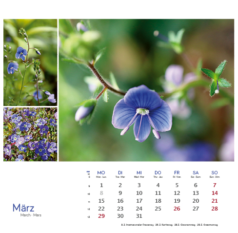 Weitere Ansicht: Heilpfanzen rund um den Bodensee 2027