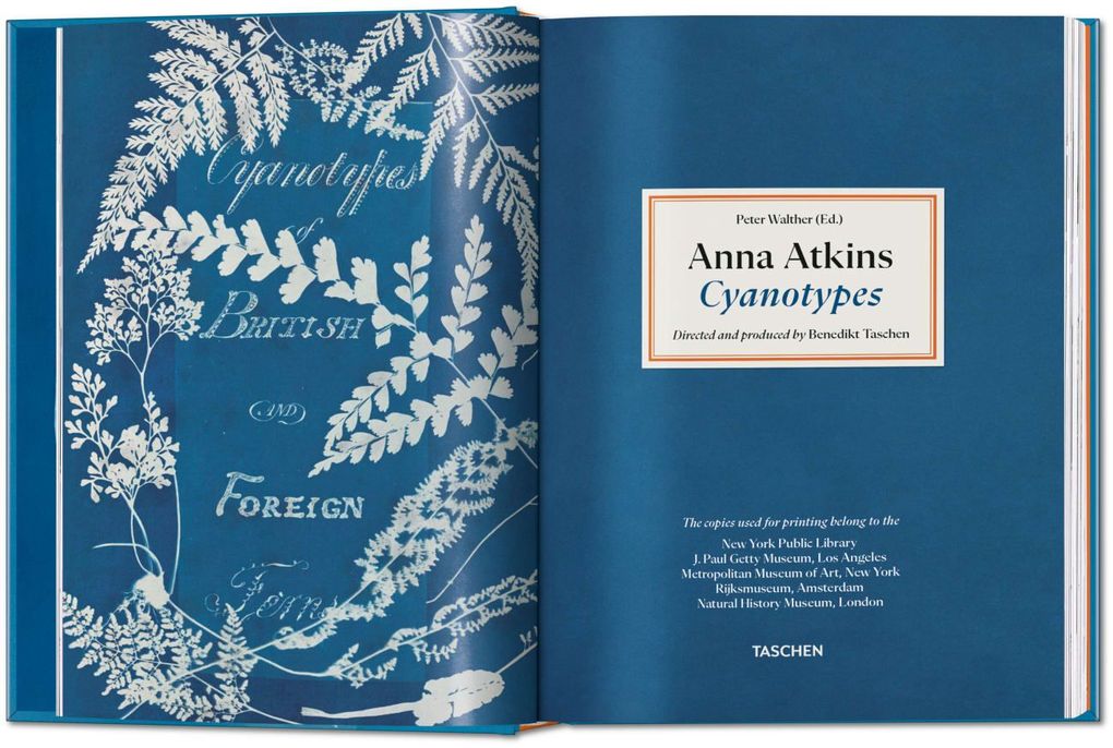 Weitere Ansicht: Anna Atkins | Peter Walther