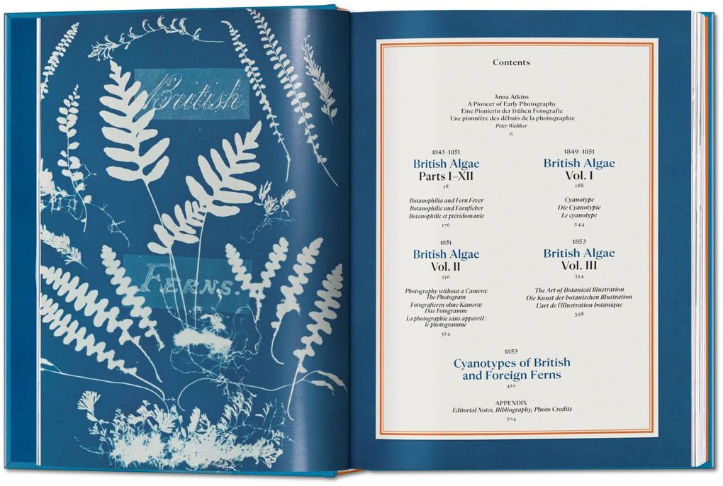 Weitere Ansicht: Anna Atkins | Peter Walther