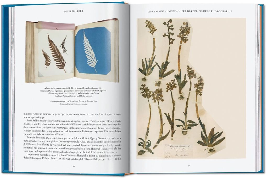 Weitere Ansicht: Anna Atkins | Peter Walther